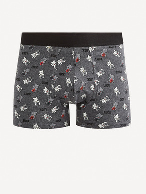 Celio Fiasie Boxeralsó