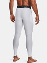 Under Armour HG Armour Legings