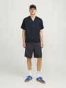 Jack & Jones Aaron Ing