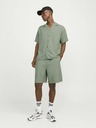 Jack & Jones Aaron Ing