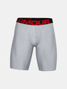 Under Armour UA Tech 9in 2 Pack Boxeralsó