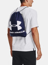 Under Armour UA Ozsee Hátizsák