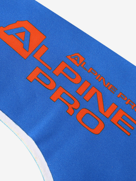 ALPINE PRO BELAKE Fejdísz