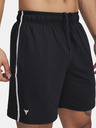 Under Armour Pjt Rck Mesh Short Rövidnadrág